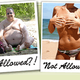 Go Topless Equality Movement Founded By Sketchy Cult Leader